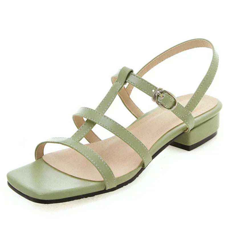 Willa | Niedrige Absätze, Gürtel über lässigen Sandalen